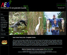 Click here to view website